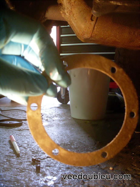 Little oily gasket